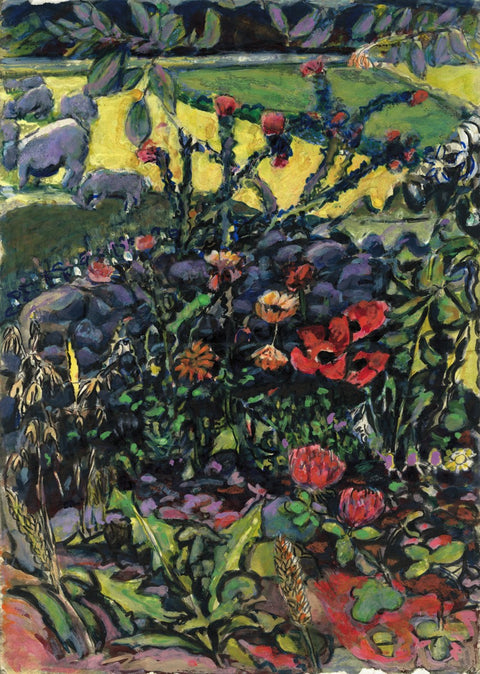 PLANTS AND MEDICINES