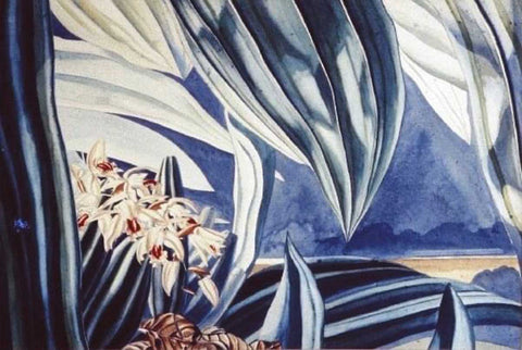 Botanical Collection