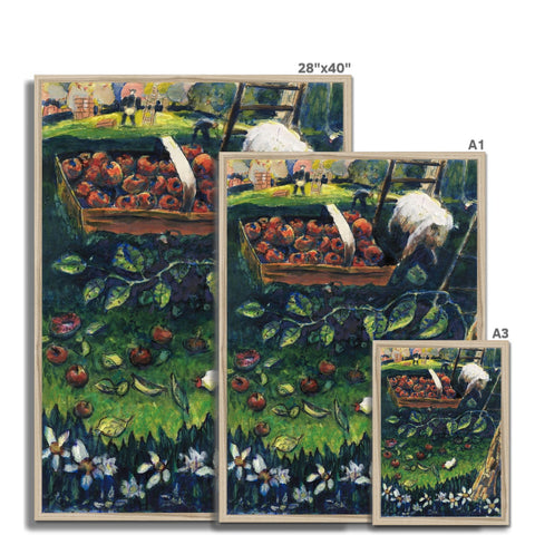 AN ORCHARD (WELLINGTON, NZ) Framed Print