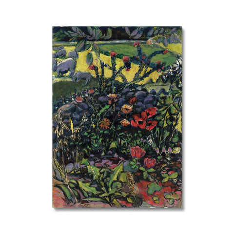PLANTS AND MEDICINES Canvas