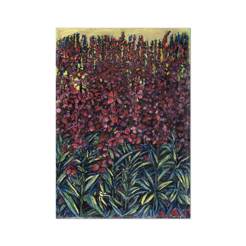 WILLOW HERB Fine Art Print