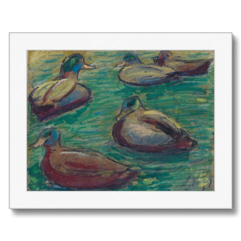 GRAND UNION CANAL DUCKS Framed Print
