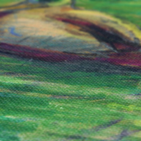 GRAND UNION CANAL DUCKS Canvas