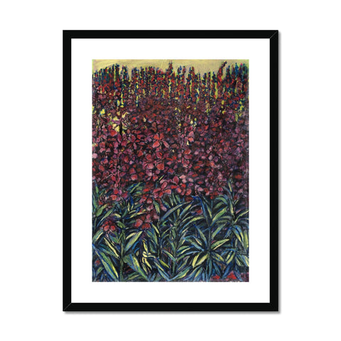 WILLOW HERB Framed & Mounted Print