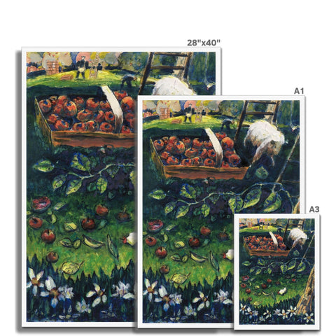 AN ORCHARD (WELLINGTON, NZ) Framed Print