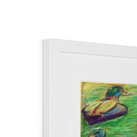 GRAND UNION CANAL DUCKS Framed & Mounted Print