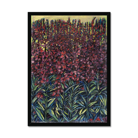 WILLOW HERB Framed Print