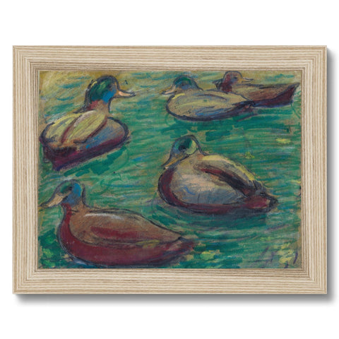 GRAND UNION CANAL DUCKS Framed Print